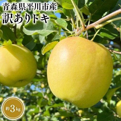 9月中旬～発送 訳あり トキ約3kg(家庭用)【なるみ農園・青森りんご・平川市産・数量限定】