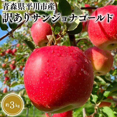 10月中旬～発送　 訳あり サンジョナゴールド約3kg(家庭用)【なるみ農園・数量限定】
