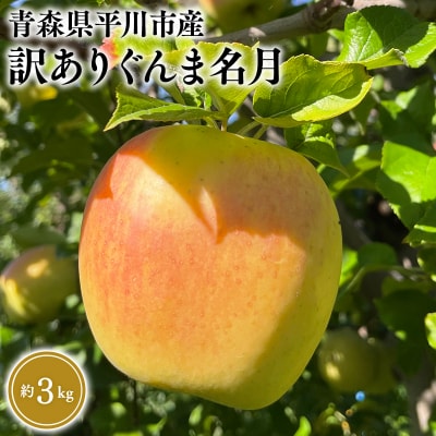 10月下旬～発送　 訳あり ぐんま名月約3kg(家庭用)【なるみ農園・数量限定】