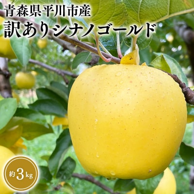 12月上旬～発送　 訳あり シナノゴールド約3kg(家庭用)【なるみ農園・数量限定】