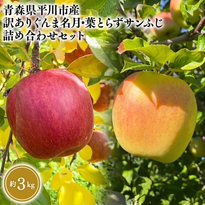 12月上旬～発送　 訳あり ぐんま名月・葉とらずサンふじ詰め合わせ約3kg【なるみ農園】