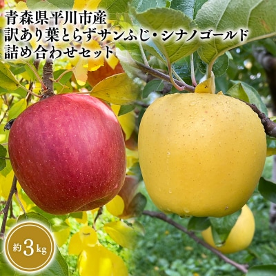 12月上旬～発送　訳あり 葉とらずサンふじ・シナノゴールド詰め合わせ約3kg【なるみ農園】