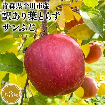 12月中旬～発送　 訳あり 葉取らずサンふじ約3kg(家庭用)【なるみ農園・数量限定】