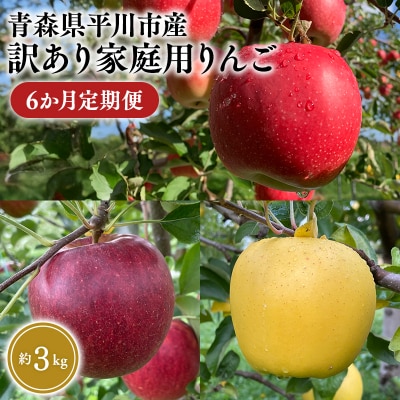 8月下旬～発送　 訳あり家庭用りんご 6か月定期便約3kg【なるみ農園・数量限定】