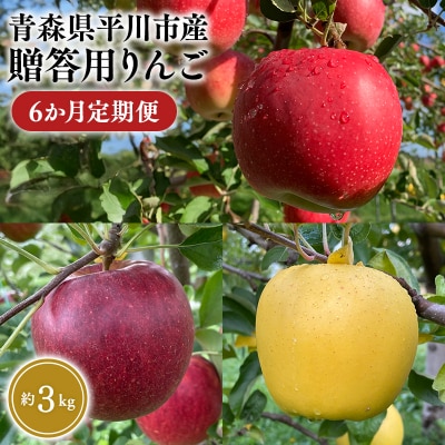 8月下旬～発送　贈答用りんご 6か月定期便約3kg【なるみ農園・数量限定】
