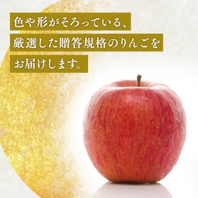 8月下旬～発送　贈答用りんご 6か月定期便約3kg【なるみ農園・数量限定】