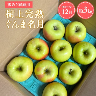 【令和7年産受付】家庭用 樹上完熟ぐんま名月約3kg【青森県平川市産・青森りんご】