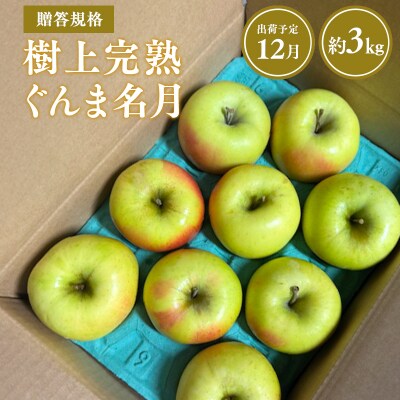 【令和7年産受付】贈答用 樹上完熟ぐんま名月約3kg【青森県平川市産・青森りんご】