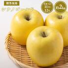 【令和7年産受付】贈答用シナノゴールド約2kg【青森県平川市産・青森りんご】