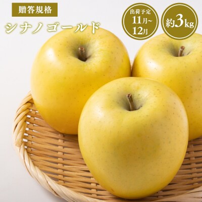 【令和8年産受付】贈答用シナノゴールド約3kg【青森県平川市産・青森りんご】