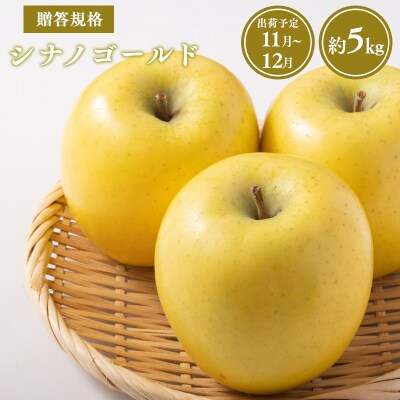 【令和8年産受付】贈答用シナノゴールド約5kg【青森県平川市産・青森りんご】