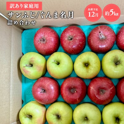 【令和8年産受付】家庭用 サンふじ/ぐんま名月 詰め合わせ約5kg【青森県平川市産・青森りんご】