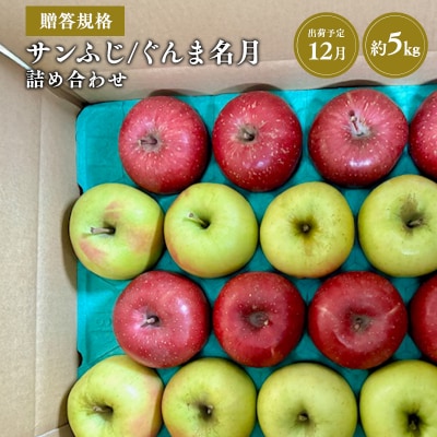 【令和8年産受付】贈答用 サンふじ/ぐんま名月 詰め合わせ約5kg【青森県平川市産・青森りんご】