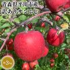12月 訳あり サンふじ 約3kg【なるみ農園・青森りんご・平川市産・12月・数量限定】