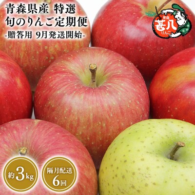 【9月発送開始】隔月配送　定期便6回　特選　甚八りんご　3kg　【マルジンサンアップル】