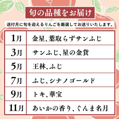 【9月発送開始】隔月配送　定期便6回　特選　甚八りんご　3kg　【マルジンサンアップル】