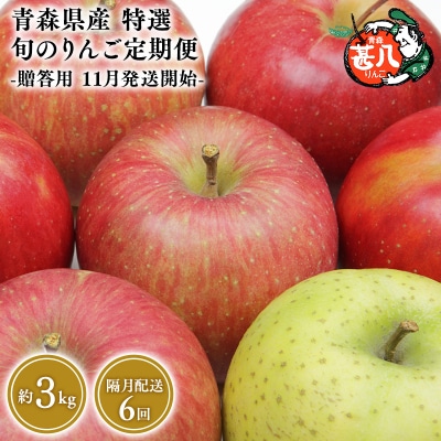 【11月発送開始】隔月配送　定期便6回　特選　甚八りんご　3kg　【マルジンサンアップル】