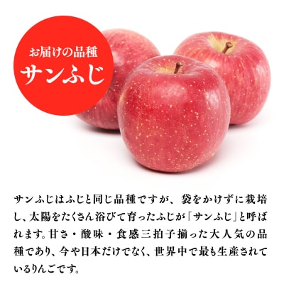 4月発送　特選　甚八りんごサンふじ3kg　【マルジンサンアップル】