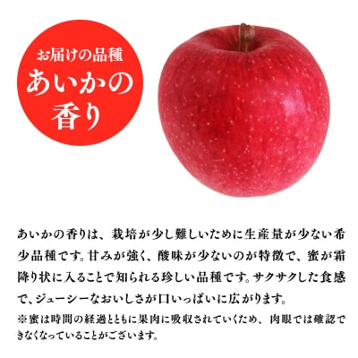 12月発送　特選　甚八りんごあいかの香り3kg　【マルジンサンアップル】