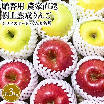 りんご 10～11月発送 樹上熟成りんご シナノスイート・ぐんま名月 約3kg