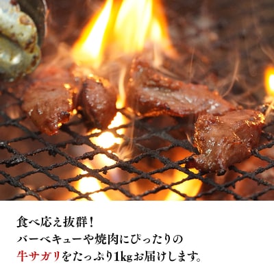 平川サガリ(牛)　約1kg