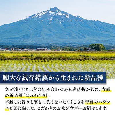 【令和8年産新米:10月上旬～出荷開始】岩渕農園はれわたり(精米)【hi-0023-004】