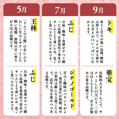 【5月発送開始】隔月配送　定期便3回　訳あり　家庭用　甚八りんご　3kg　【青森県 平川市 マルジン