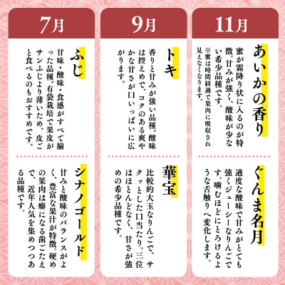 【7月発送開始】隔月配送　定期便3回　特選甚八りんご　3kg【青森県平川市 マルジンサンアップル】
