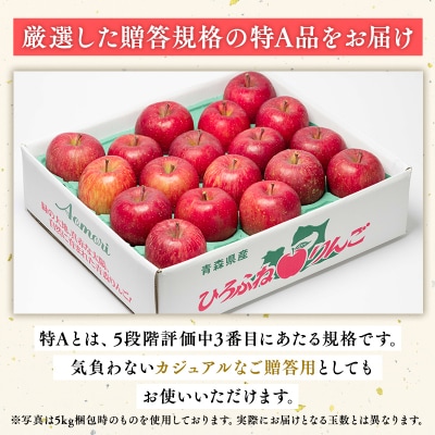年内 贈答規格 広船のサンふじ 約3kg「特A」【広船アップルクラブ・平川市広船産・青森りんご】