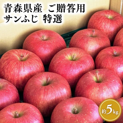 11月発送 【特選】サンふじ5㎏【りんご・青森・平川・特選・宮川商店】