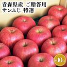 12月発送 【特選】サンふじ10㎏【りんご・青森・平川・特選・宮川商店】
