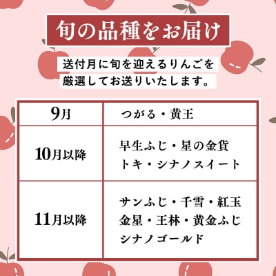 12月発送 【訳あり】旬のりんご詰め合わせ10kg【りんご・青森・平川・訳あり・家庭用・宮川商店】