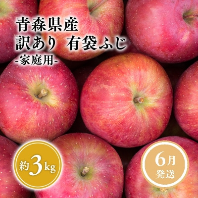 6月発送【訳あり】家庭用有袋ふじ約3kg【有袋ふじ・りんご・青森・平川・訳あり・家庭用・原田青果】