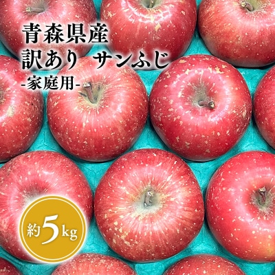 5月 クール便発送【訳あり】家庭用サンふじ約5kg【サンふじ・りんご・青森・平川・家庭用・原田青果】