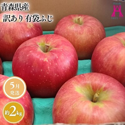 5月 クール便発送【訳あり】家庭用有袋ふじ約2kg【原田青果】
