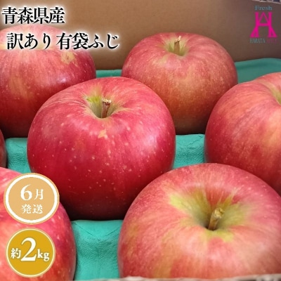 6月 クール便発送【訳あり】家庭用有袋ふじ約2kg【原田青果】