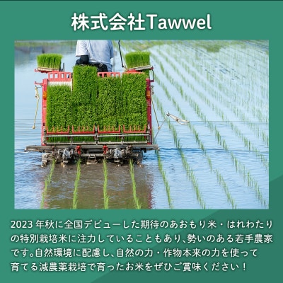 5月配送 まっしぐら　精米10kg  株式会社tawwel《hi-0061-022-05》