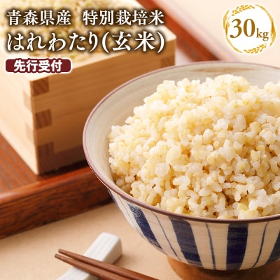 ≪令和9年2月発送≫　特別栽培米 はれわたり玄米30kg(10㎏×3袋)【青森県 平川市】 
