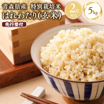 ≪令和9年2月発送≫特別栽培米 はれわたり玄米5kg