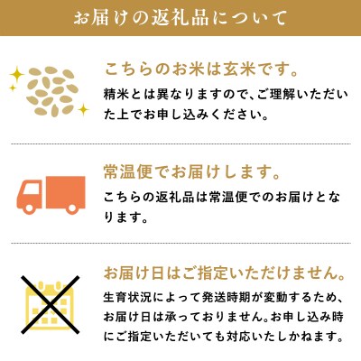 ≪令和9年2月発送≫特別栽培米 はれわたり玄米5kg
