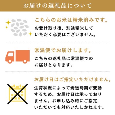 ≪令和9年1月発送≫特別栽培米 はれわたり白米5kg
