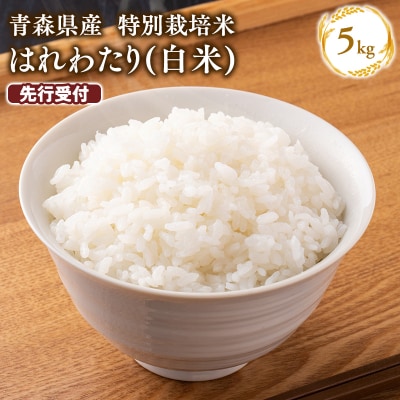 ≪令和8年12月発送≫特別栽培米 はれわたり白米5kg
