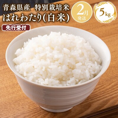 ≪令和9年2月発送≫特別栽培米 はれわたり白米5kg
