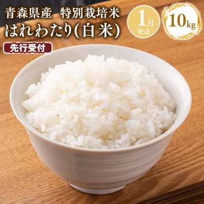 ≪令和9年1月発送≫　特別栽培米 はれわたり白米10kg【青森県 平川市】 