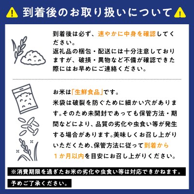 ≪令和9年2月発送≫　特別栽培米  はれわたり玄米10kg【青森県 平川市】