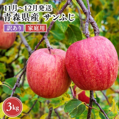 2026年11月～12月発送　【訳あり】家庭用サンふじ 約3kg【原田農園】