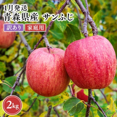 2027年1月発送　【訳あり】家庭用サンふじ 約2kg