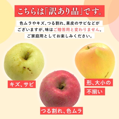 年内発送 【訳あり】家庭用サンふじ約2kg(糖度証明書付き)【青森県 平川市 那由多のりんご園】