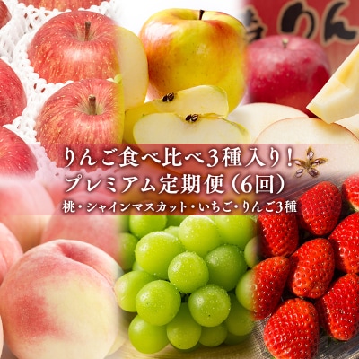 りんご食べ比べ3種入り!プレミアム定期便6回(桃・シャインマスカット・りんご3種)