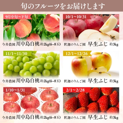 りんご食べ比べ3種入り!プレミアム定期便6回(桃・シャインマスカット・りんご3種)